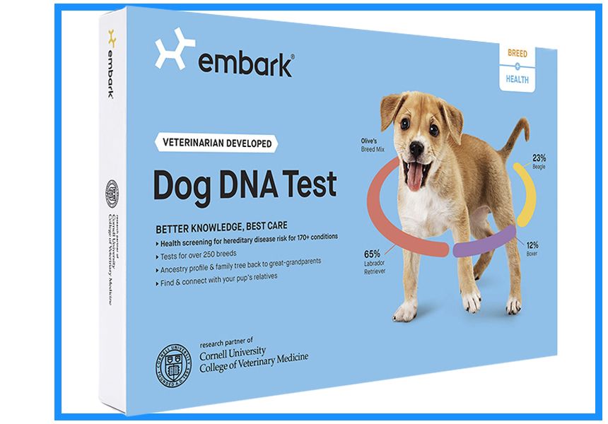 Delray Beach Animal Hospital l Embark Dog DNA Testing Delray Beach, Boca  Raton, Boynton Beach, Lake Worth