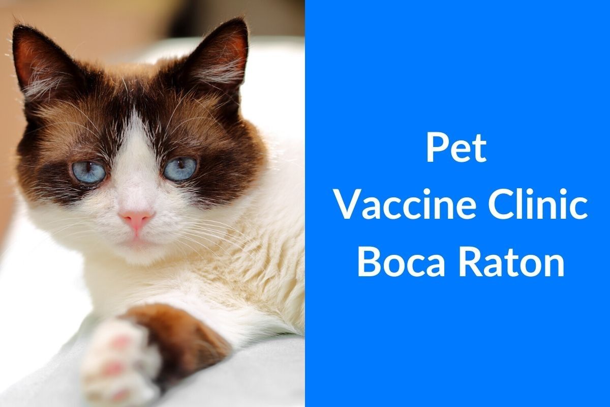 Pet-Vaccine-Clinic-Boca-Raton