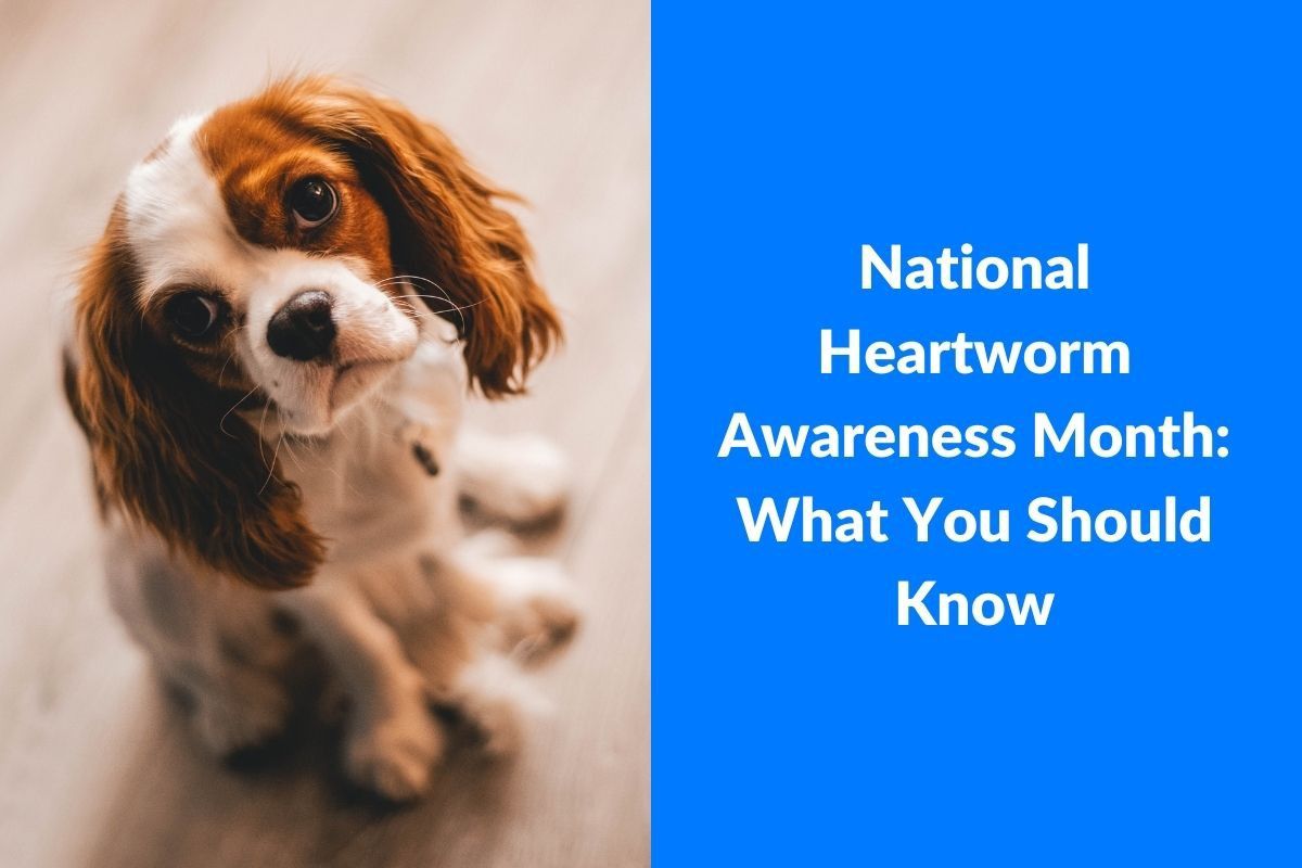 20220413-055806National-Heartworm-Awareness-Month-What-You-Should-Know-1