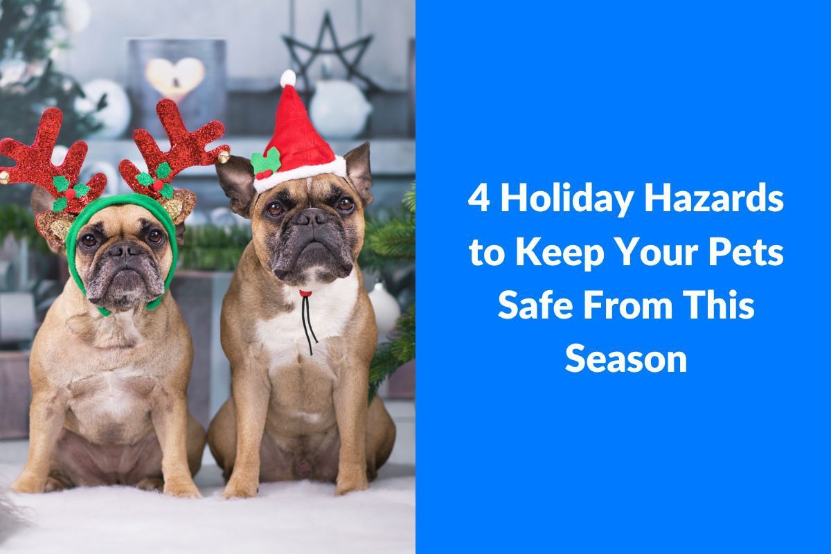 4-Holiday-Hazards-to-Keep-Your-Pets-Safe-From-This-Season