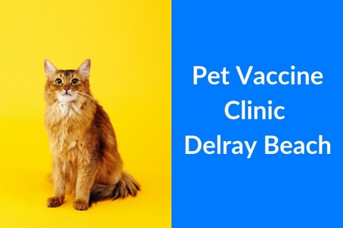 Pet-Vaccine-Clinic-Delray-Beach